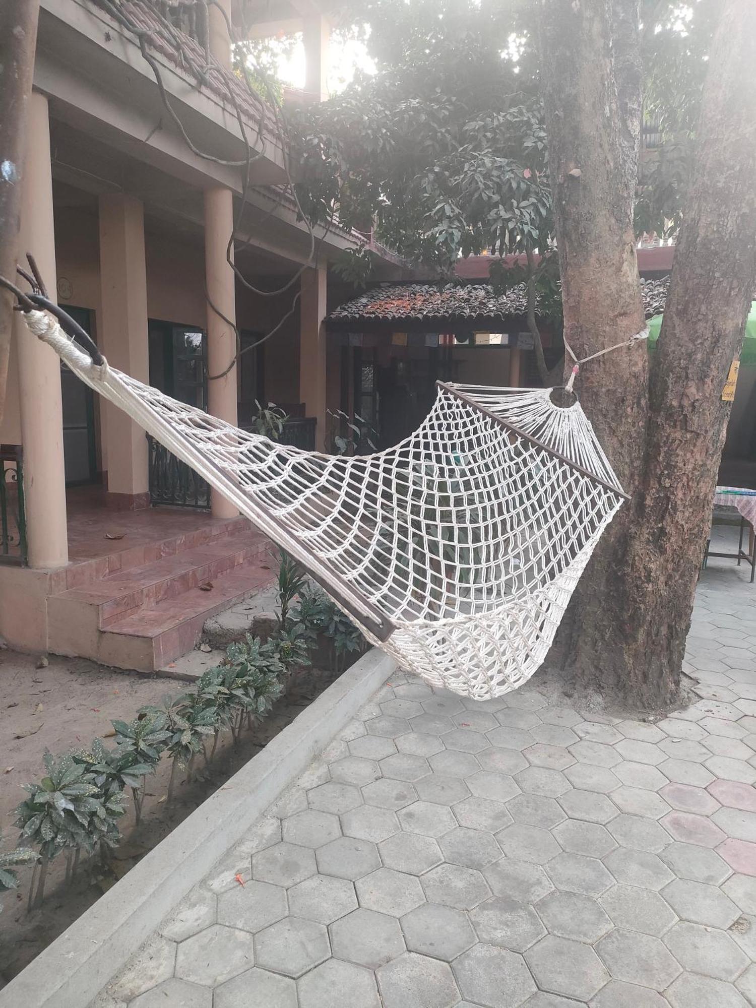 Wild Horizons Guest House Sauraha Exterior photo