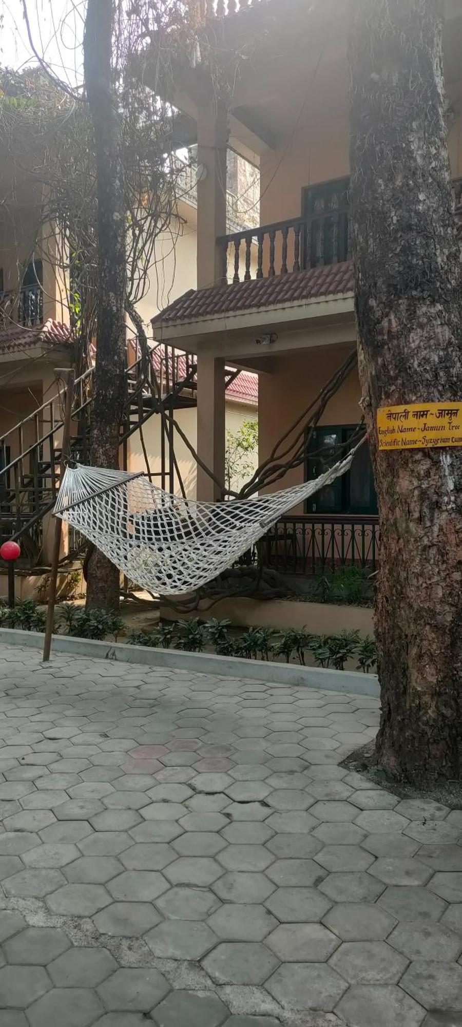 Wild Horizons Guest House Sauraha Exterior photo