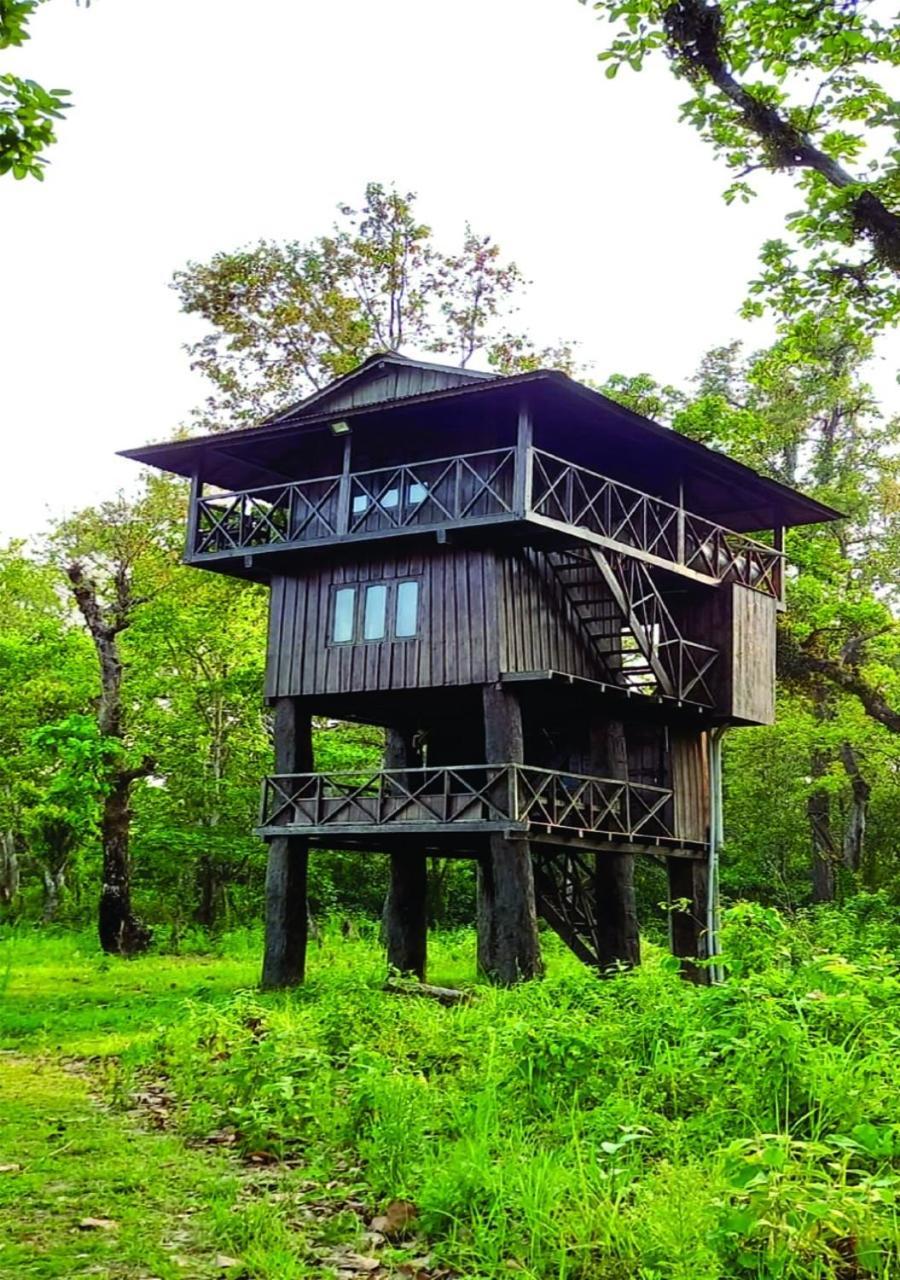 Wild Horizons Guest House Sauraha Exterior photo