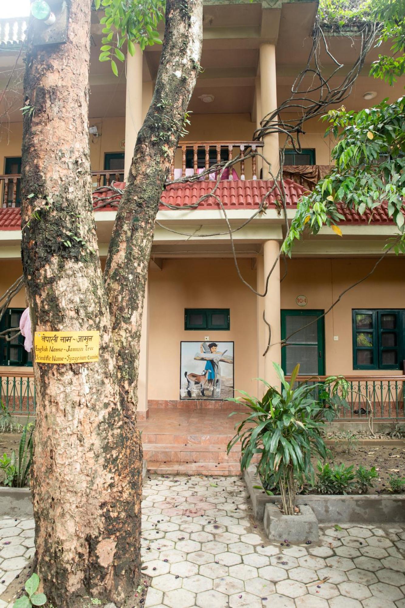 Wild Horizons Guest House Sauraha Exterior photo