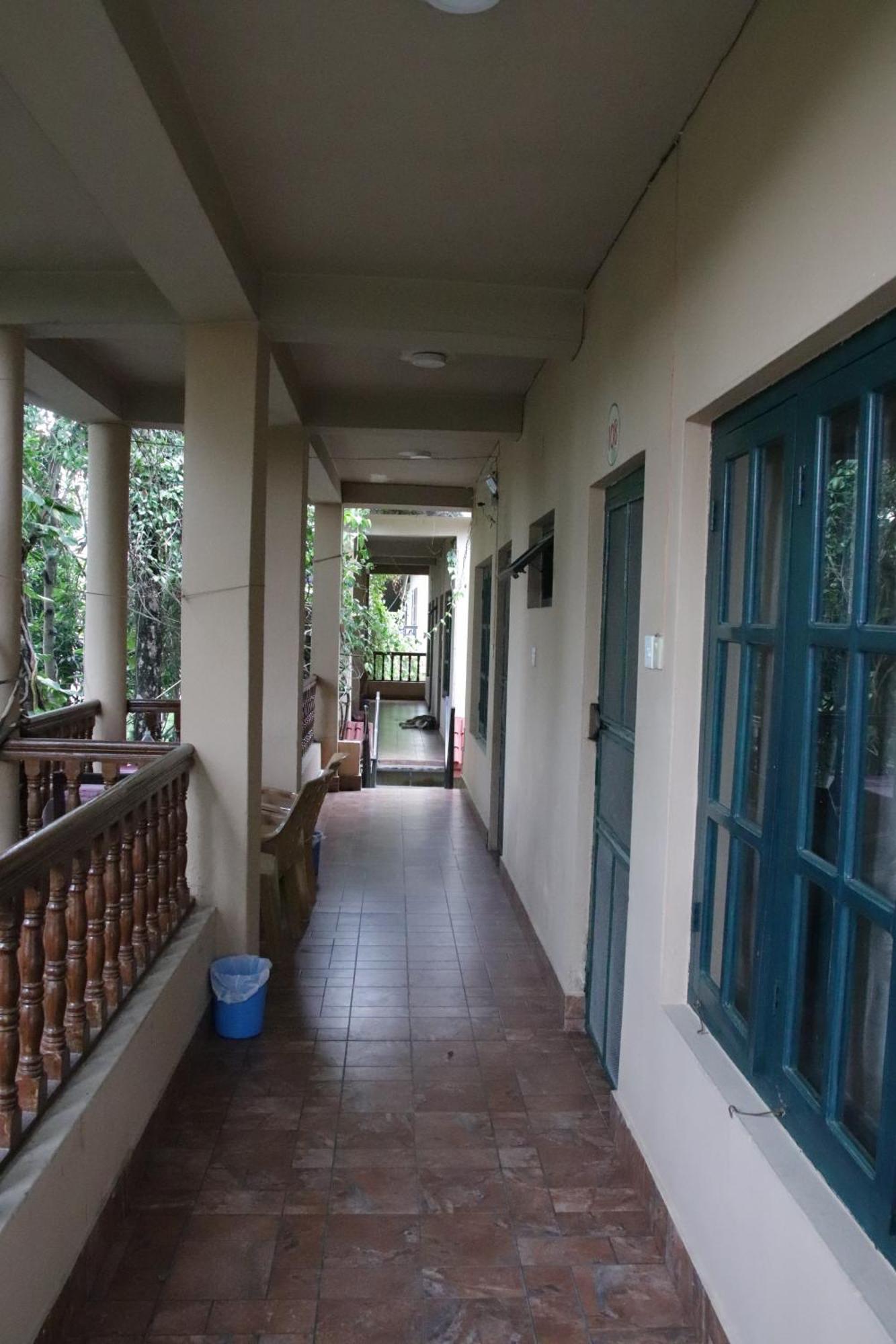 Wild Horizons Guest House Sauraha Exterior photo